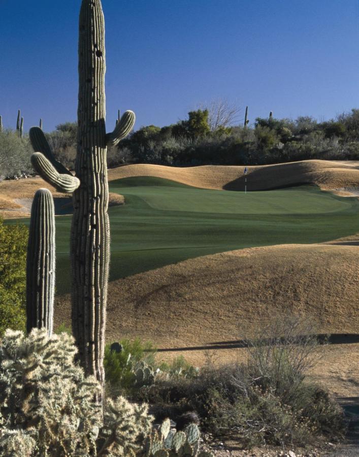 Starr Pass Golf Suites Tucson Exteriör bild